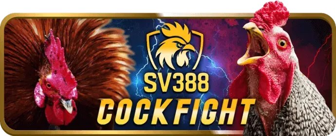 Đá gà Live 88jun